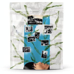 Duke University Press Asian American Literary Criticism Book-0