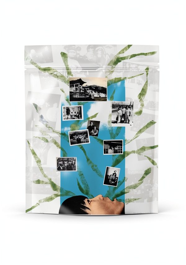 Duke University Press Asian American Literary Criticism Book-0