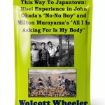 Idealist Press Asian American Literary Criticism Kindle-0