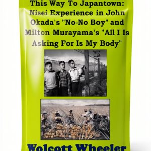 Idealist Press Asian American Literary Criticism Kindle-0