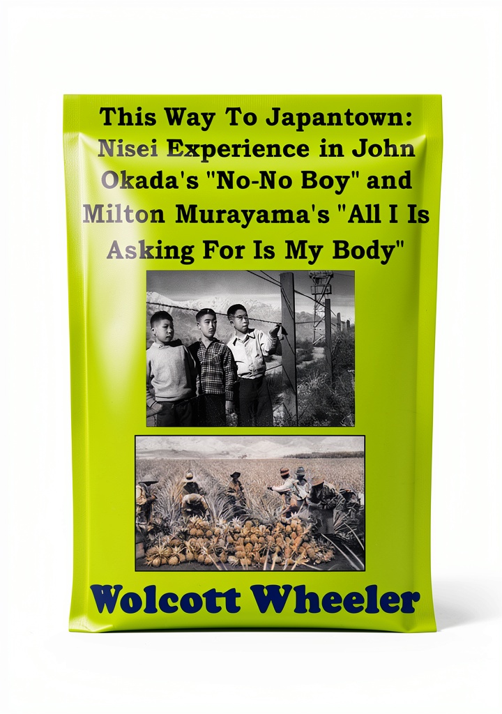 Kindle eBook cover featuring Asian American literary themes