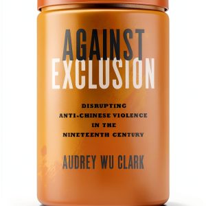 Asian American Literary Criticism Kindle Ohio-0