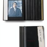 Stanford University Press Asian American Literary Criticism-0