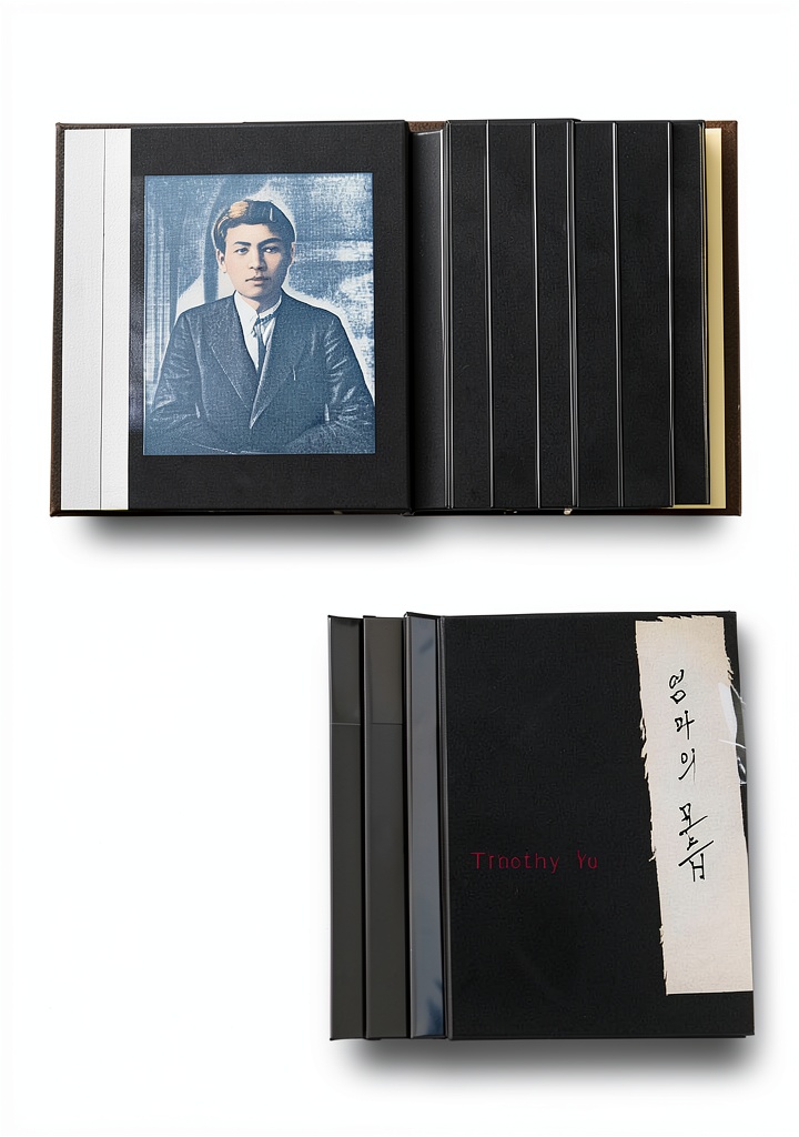 Cover of Asian American Literary Criticism book from Stanford University Press